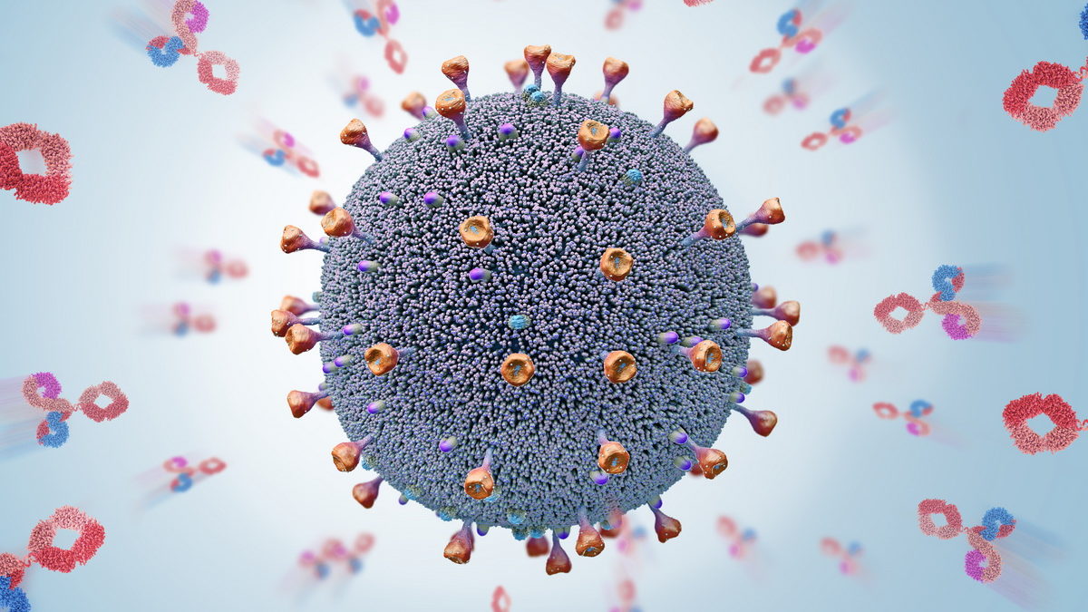 Pronađeno antitijelo koje neutrališe sve varijante koronavirusa