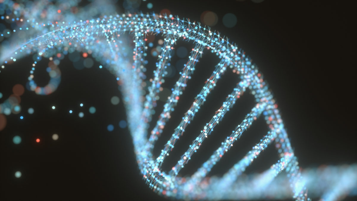 Otkriven gen važan za dug život – starost će se lječiti?