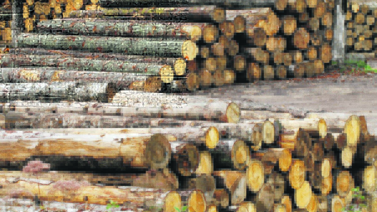 Manja proizvodnja šumskih sortimenata u RS-u, ali je prodaja povećana